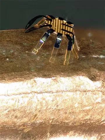 全球最小的遙控行走機(jī)器人誕生，用激光實現(xiàn)精準(zhǔn)運動控制